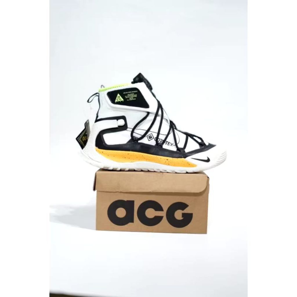 Sepatu Hiking acg terra antarktik GTX men's