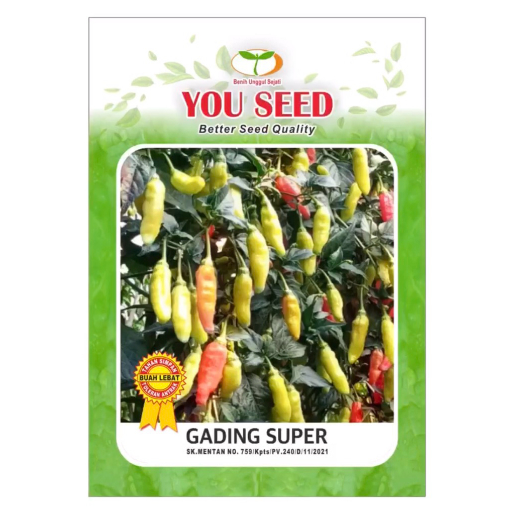 Benih Cabe Rawit Gading Super 10 Gram Tipe Ori - Cap You Seed