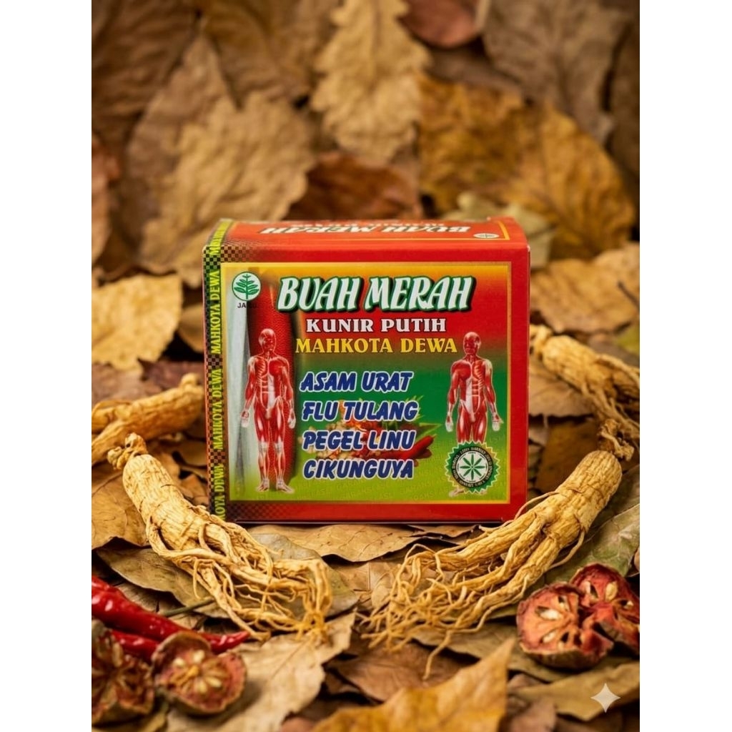 buah merah kunir putih mahkota dewa untuk meredakan asam urat,flu tulang