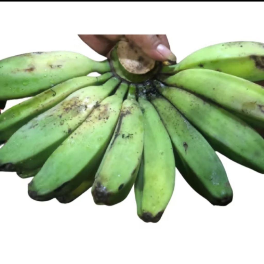 pisang kepok mentah 1 kg