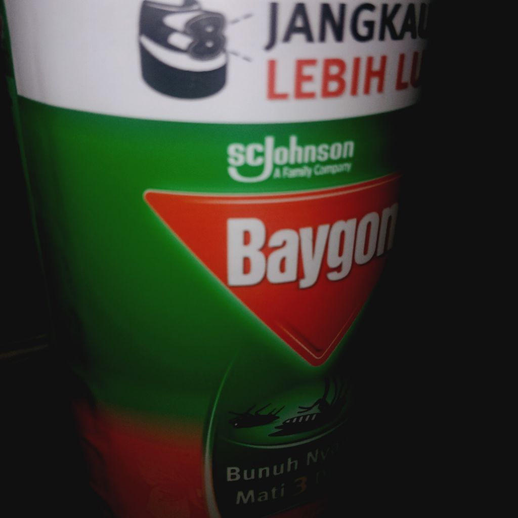 baygon semprot