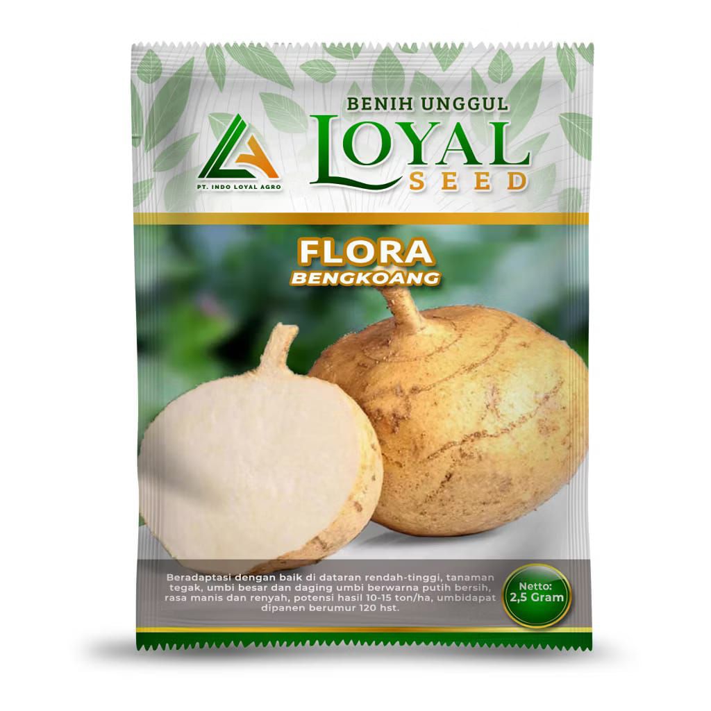 Benih Bengkoang Flora / Benih Bengkoang / Benih Loyal / Bibit Bengkoang Flora / Bibit Bengkoang / Bi