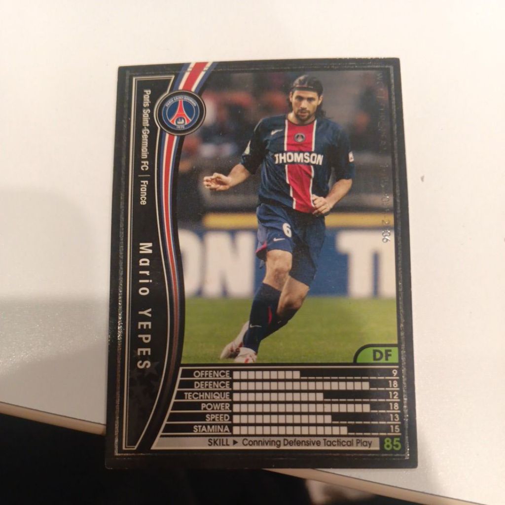kartu bola panini wccf 2005/2006 PSG