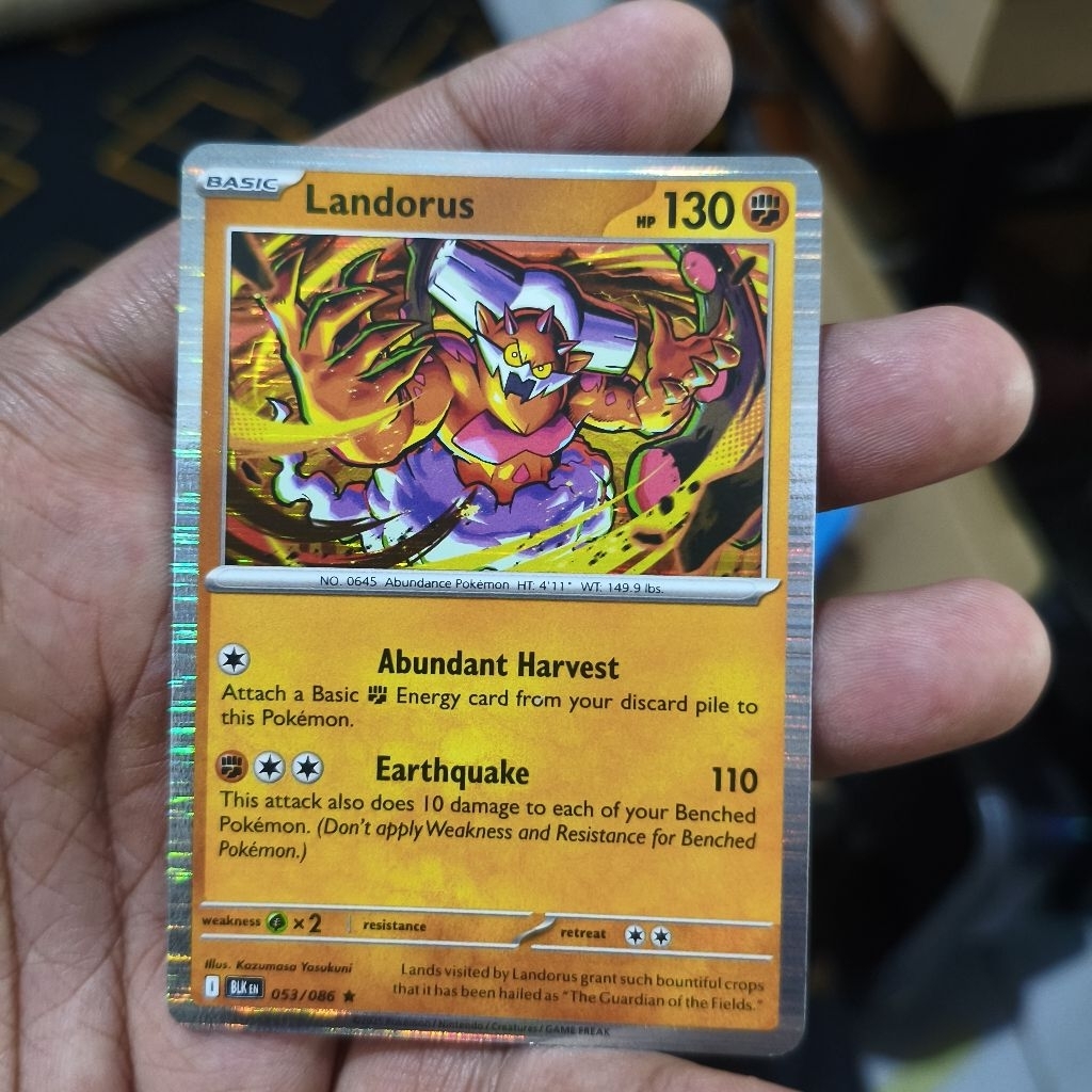 landorus tcg pokemon / kartu pokemon