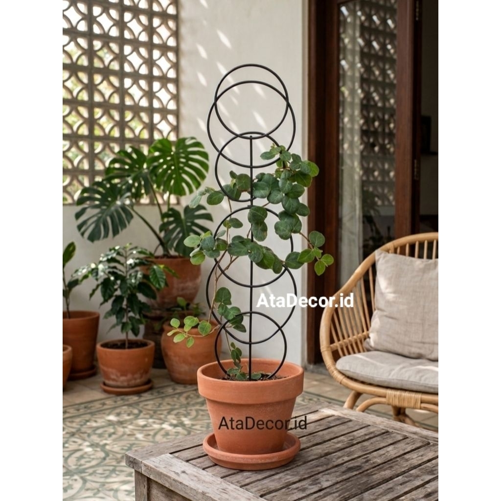 Penyangga tanaman rambat Rak trellis tanaman rambat besi minimalis dekorasi aesthetic