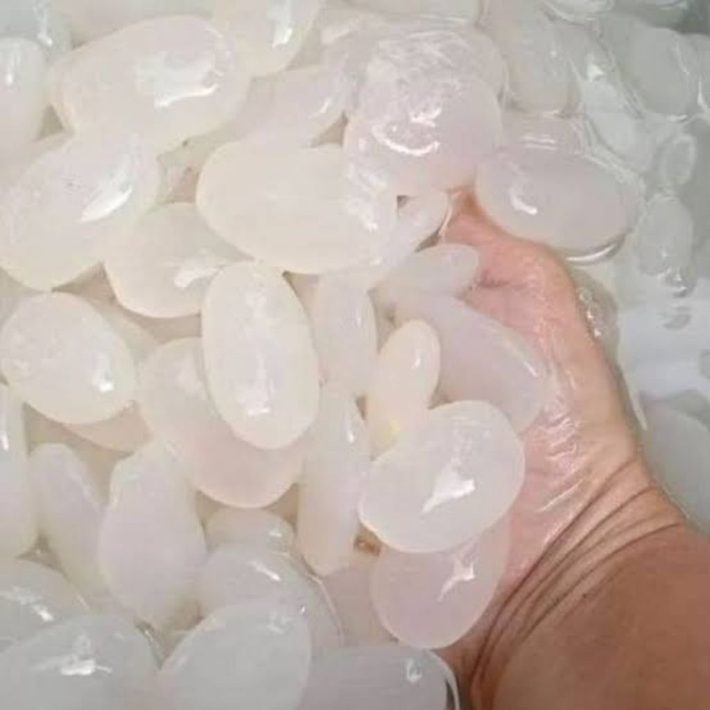 Kolang Kaling segar 500gram berkualitas Kolang Kaling segar