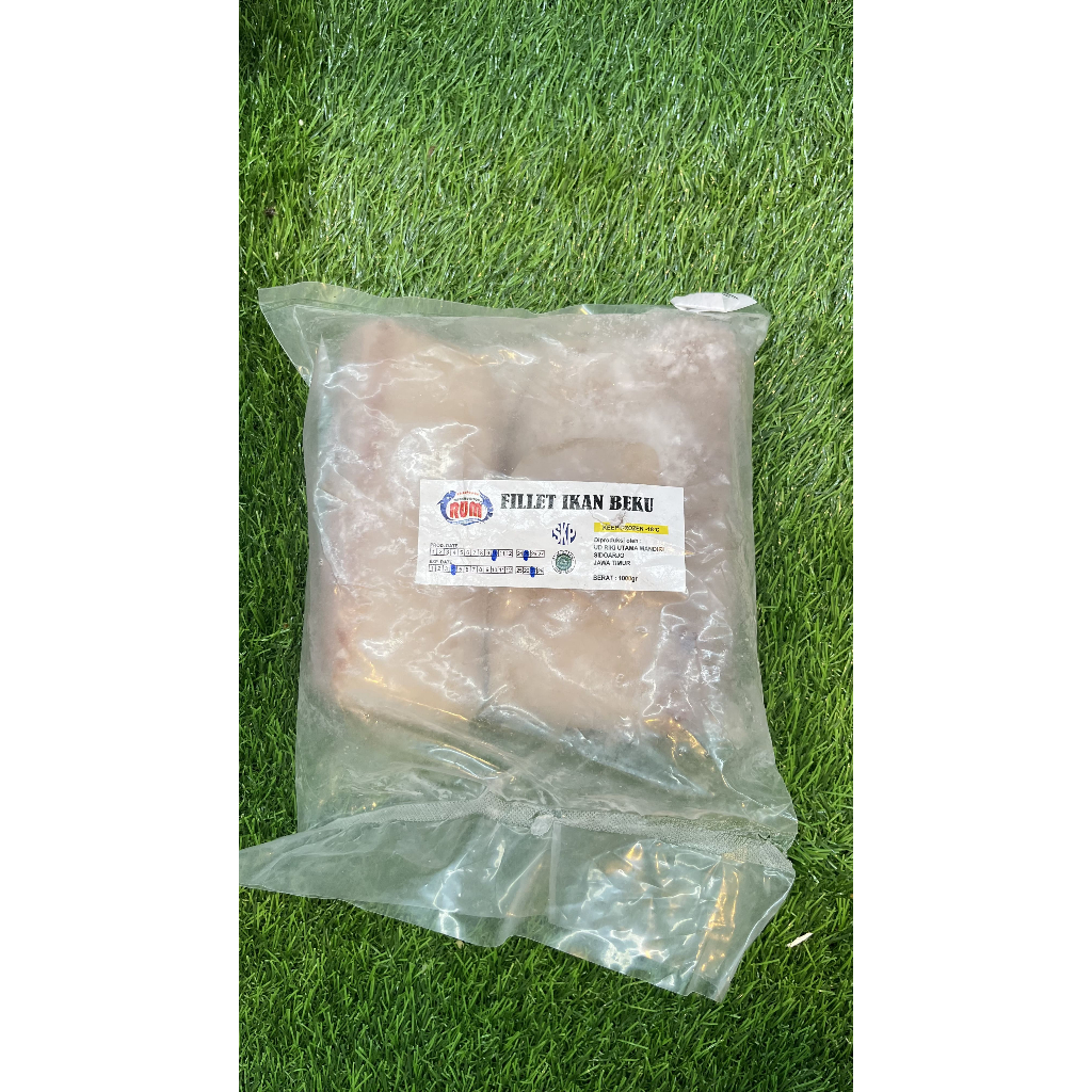 FILLET IKAN BEKU