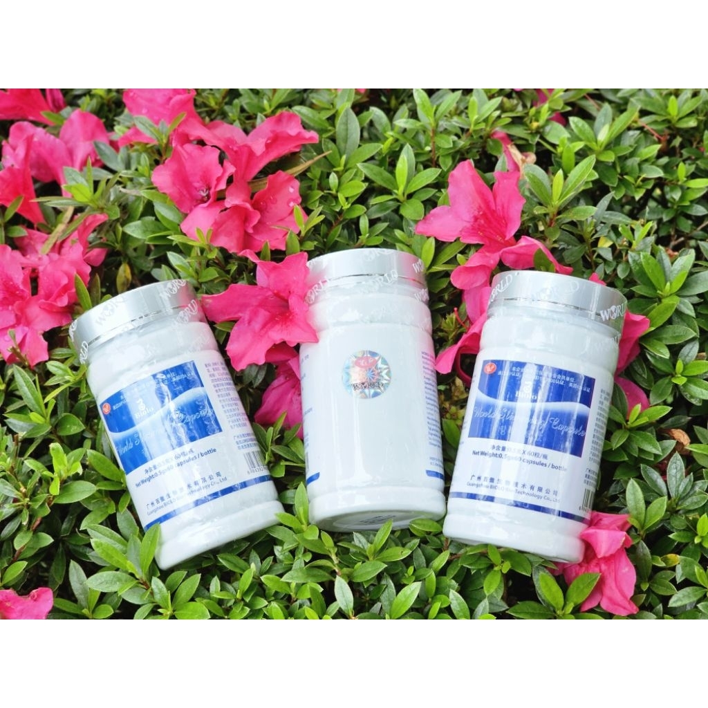 WSC BIOLO ASLI 100% (60 kap)