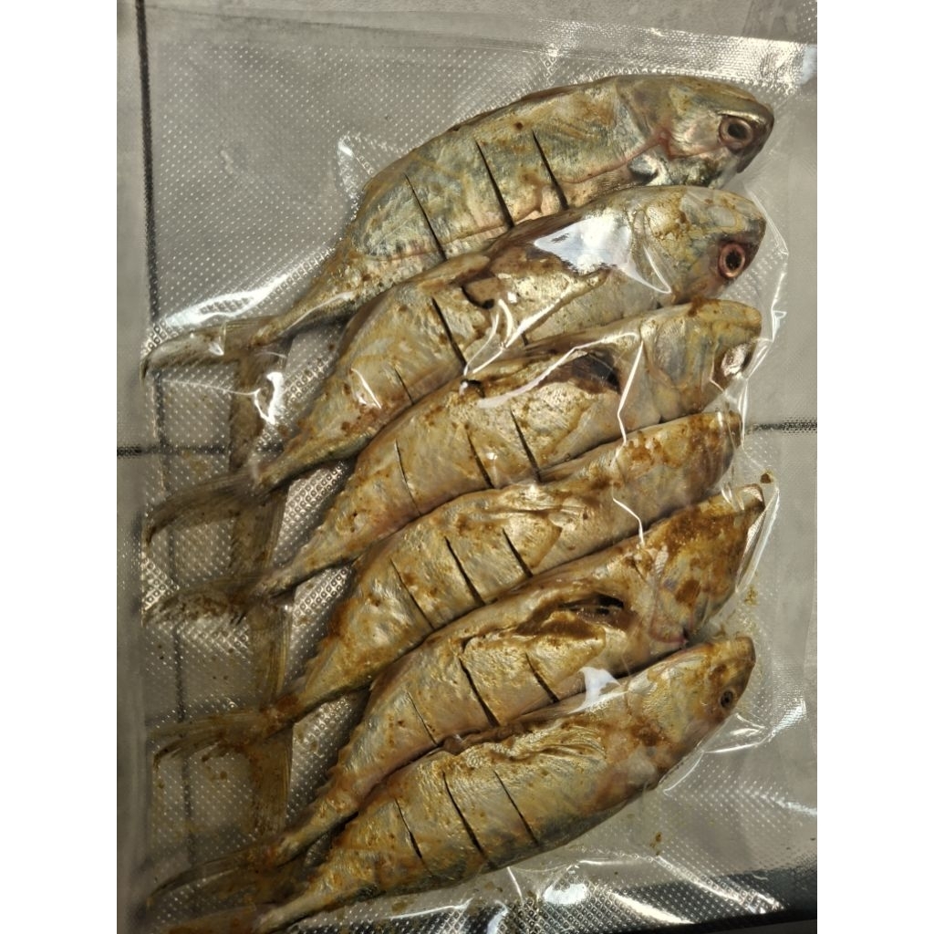 Ikan Kembung Belo Marinasi