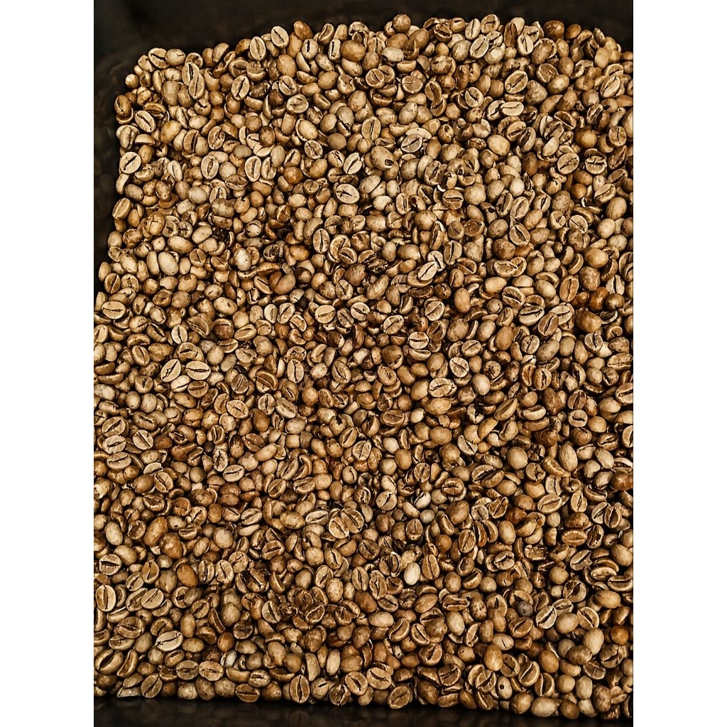 biji kopi robusta coklat 1kg