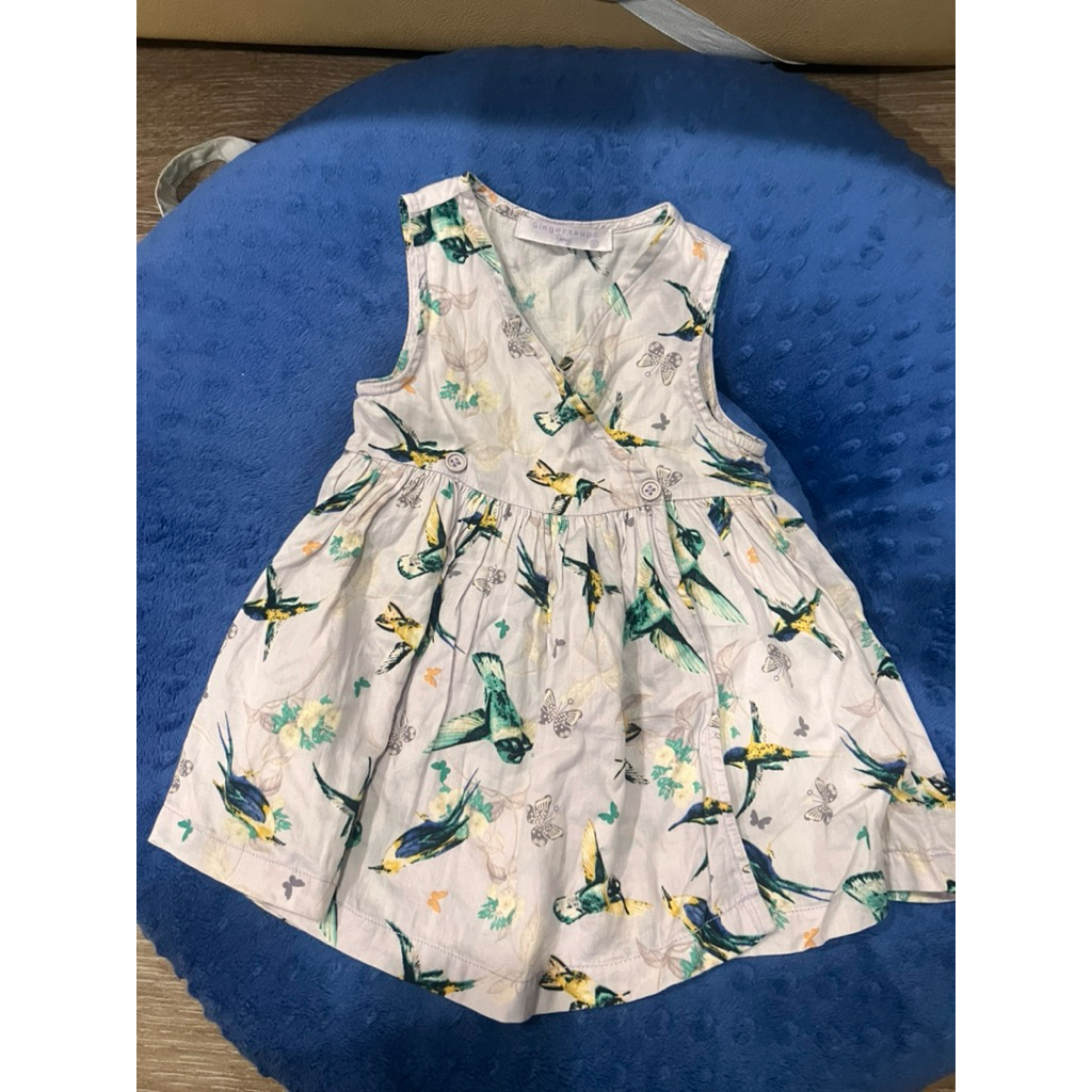 Preloved Gingersnaps Dress Tiny sz 12