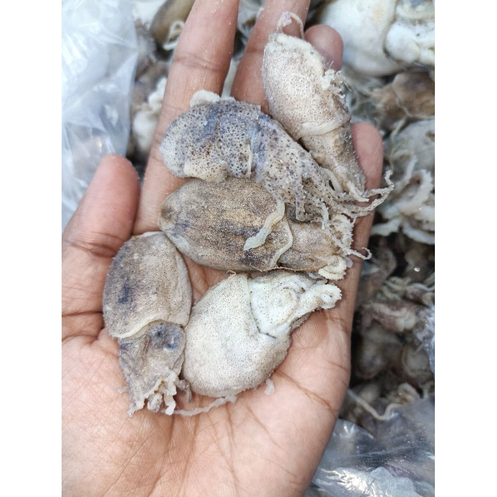 Cumi asin bekutak/ikan asin bekutak termurah