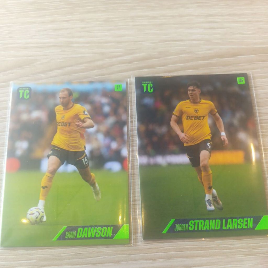 kartu bola panini top class epl 2025 Wolverhampton