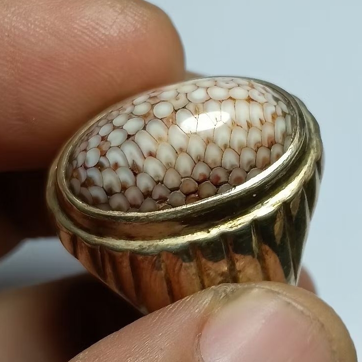 NATURAL SISIK ULAR (Sisik Merah Langka)