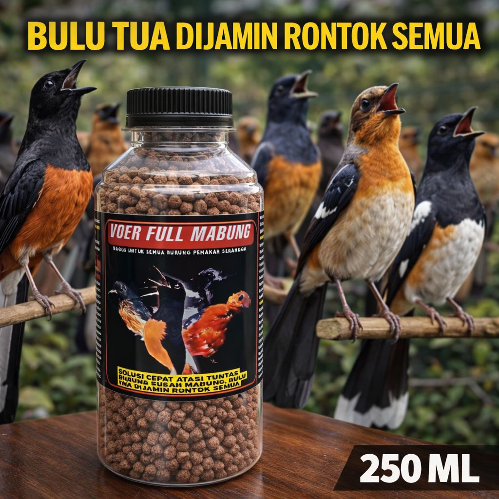 VOER PERONTOK BULU TUA FULL MABUNG TUNTAS UNTUK MURAI BATU kacer Anis merah cucak ijo jenggot pentet