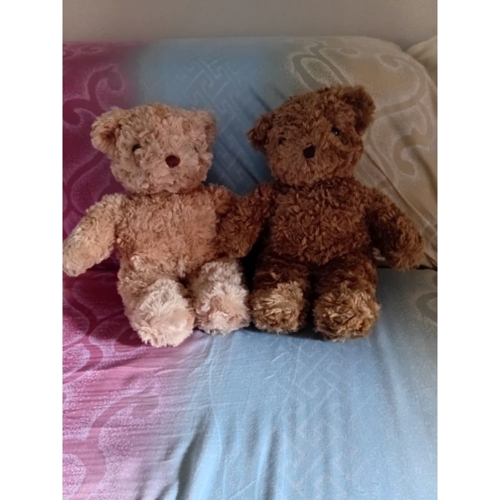 Boneka Teddy House