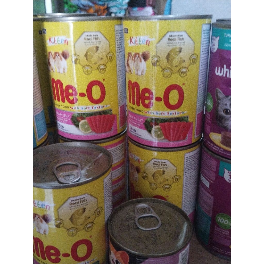 Meo kaleng tuna kitten