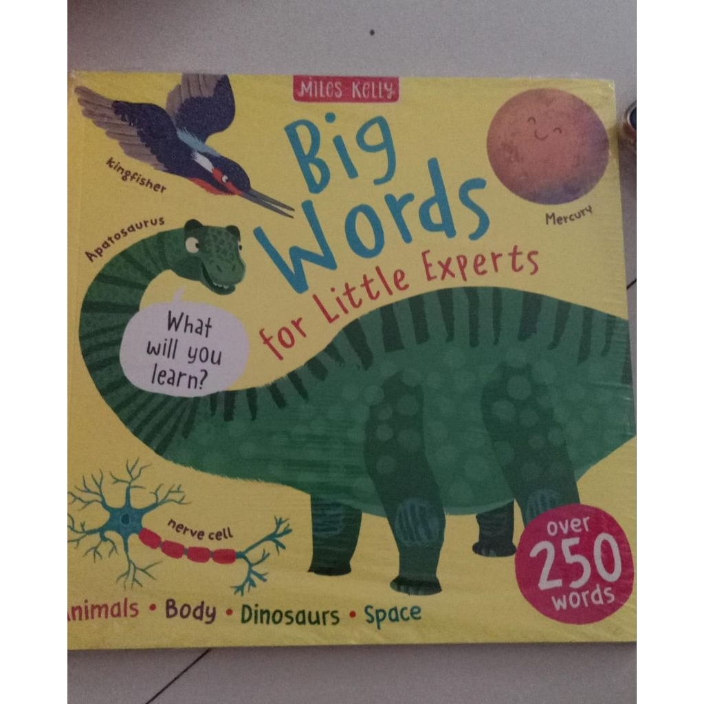 big words book
