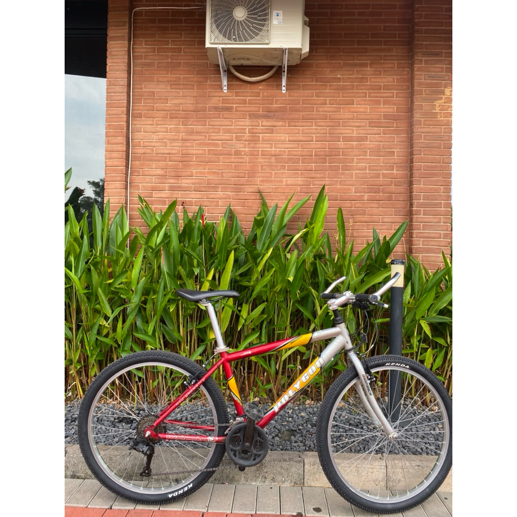 Polygon monarch 1.0 vintage
