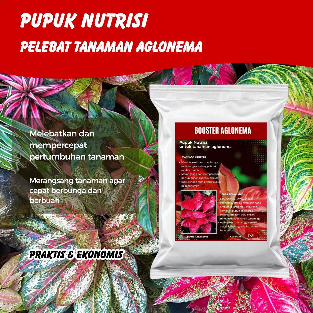 Nutrisi Tanaman Aglonema-Booster 250 Gram - Perangsang Tunas, Pencerah Daun, Penguat Akar