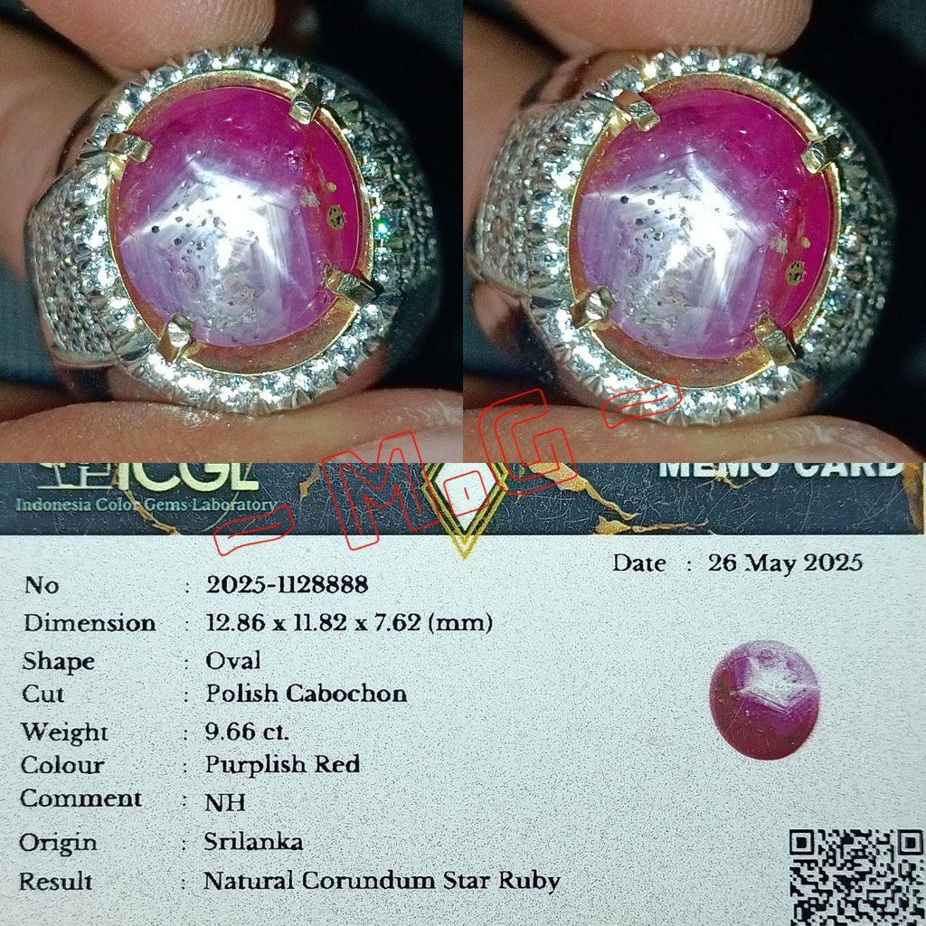 NATURAL STAR RUBY CORUNDUM SRI LANKA RARE ITEM 9.66 CARAT PURPLISH RED RING PERAK MEMO ICGL LAB