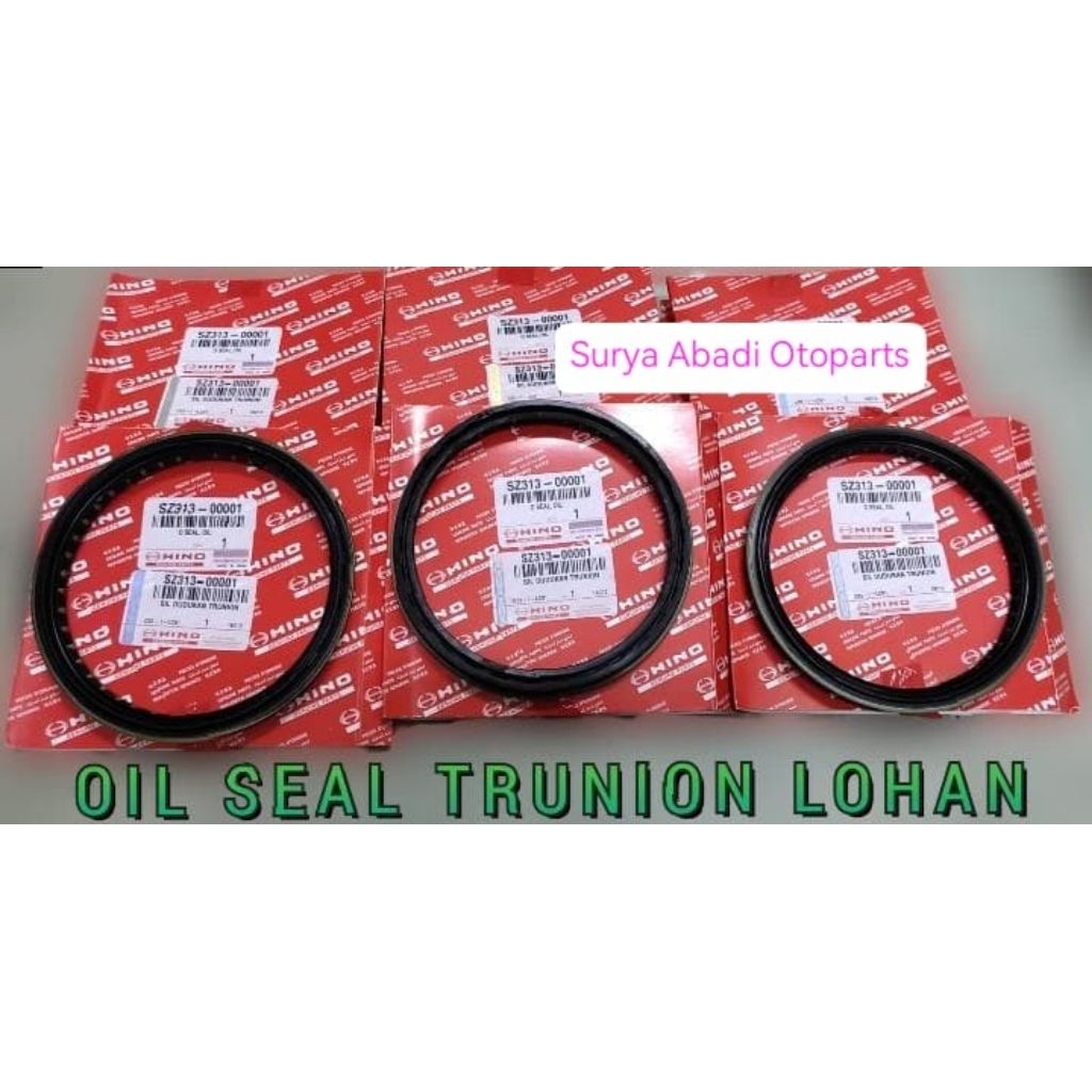 Oil Seal Trunion Hino Lohan