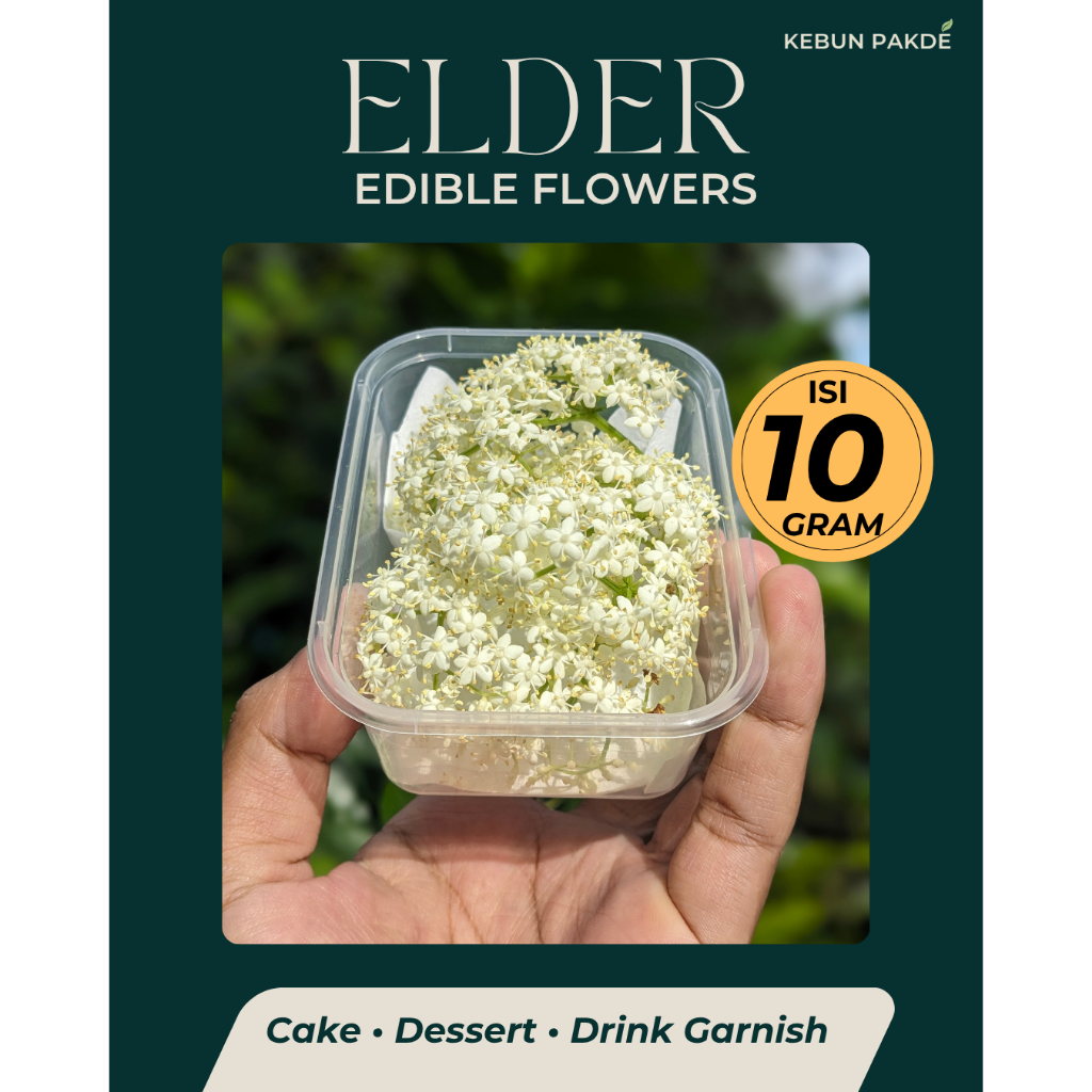 Elder Flower Fresh | Edible Flowers Premium | Cocok untuk Teh Herbal Garnish Makanan Cake | Segar Is