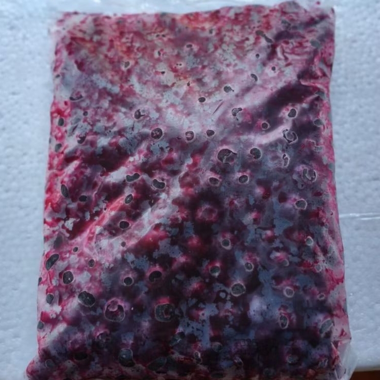 Blueberry Frozen 1 Kg