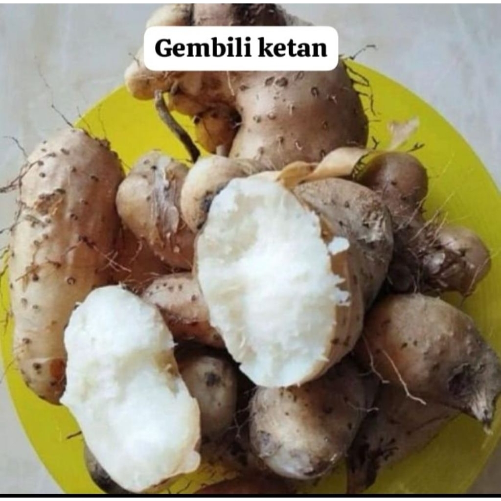 GEMBILI KETAN 1kg