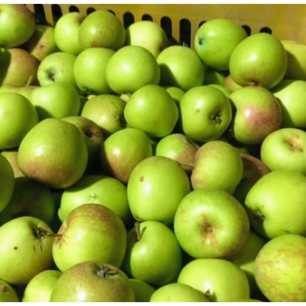 Apel Malang Manalagi Mini 1kg - Manis, Renyah, dan Segar