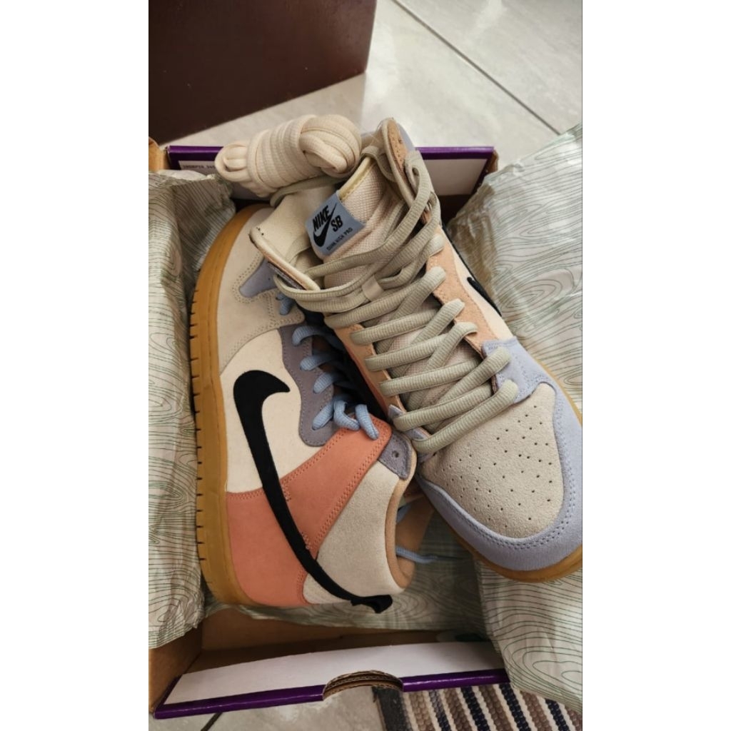 Nike SB Dunk High Pro