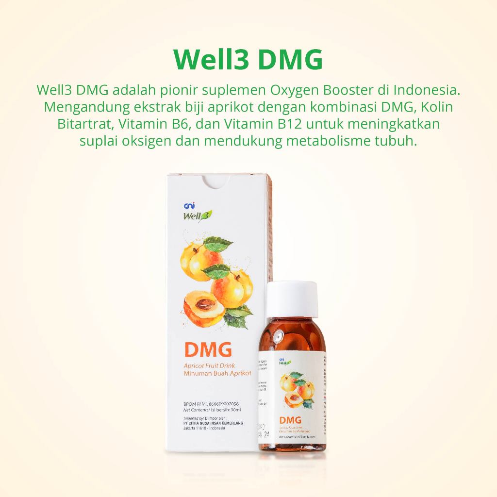 CNI Well3 DMG