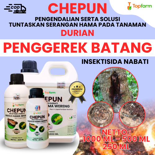 Obat Pengendali Hama Penggerek Batang Pohon Durian / Insektisida Penggerek Batang / Obat Hama Batang