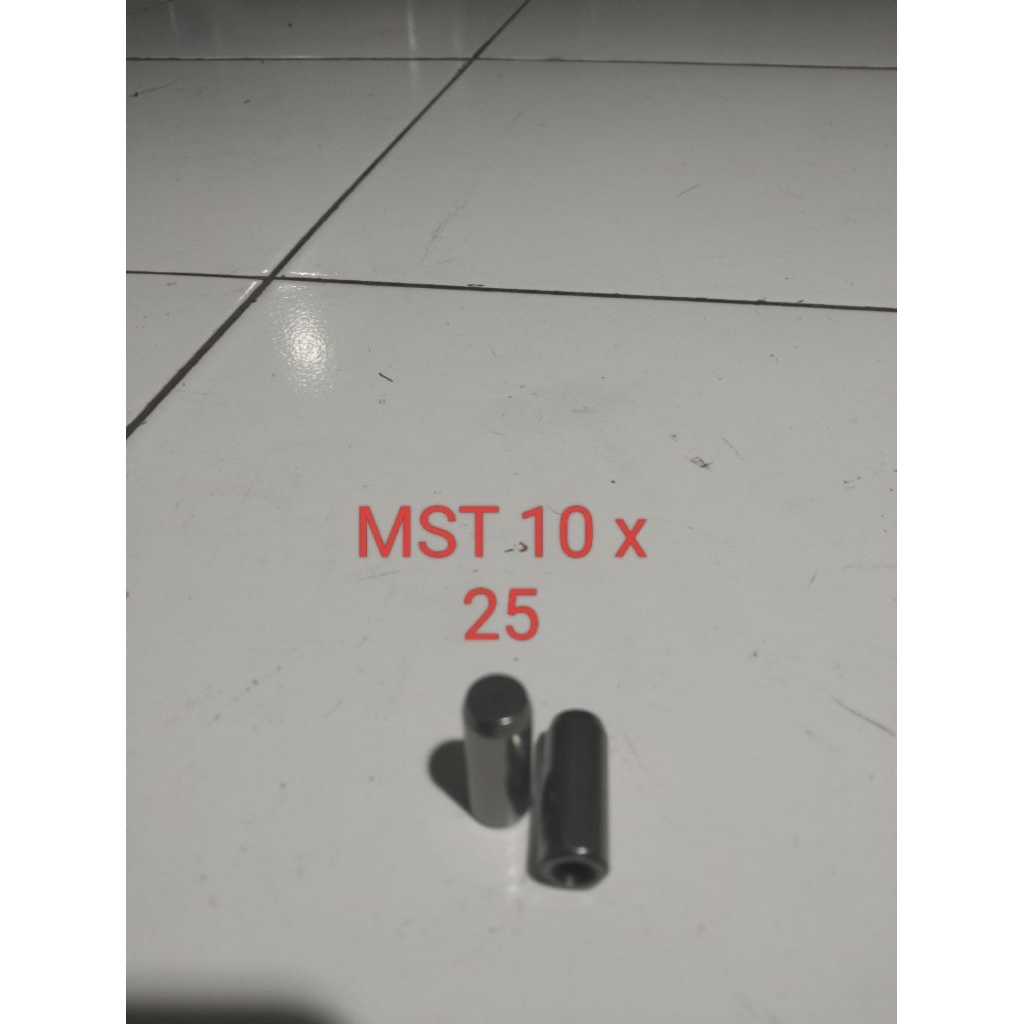 DowelpinMST10x25