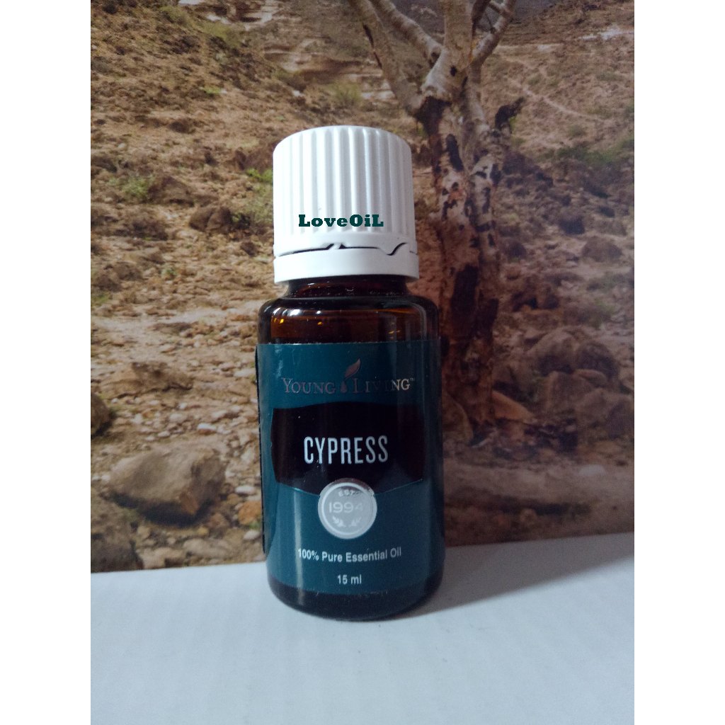 CYPRESS 15ML ESSENTIAL OIL CYPRESS