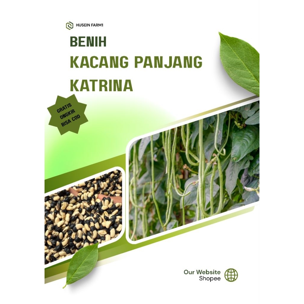 Benih Unggul (100 biji) Kacang Panjang Katrina