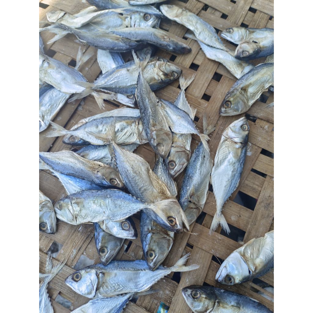 Ikan Asin kembung