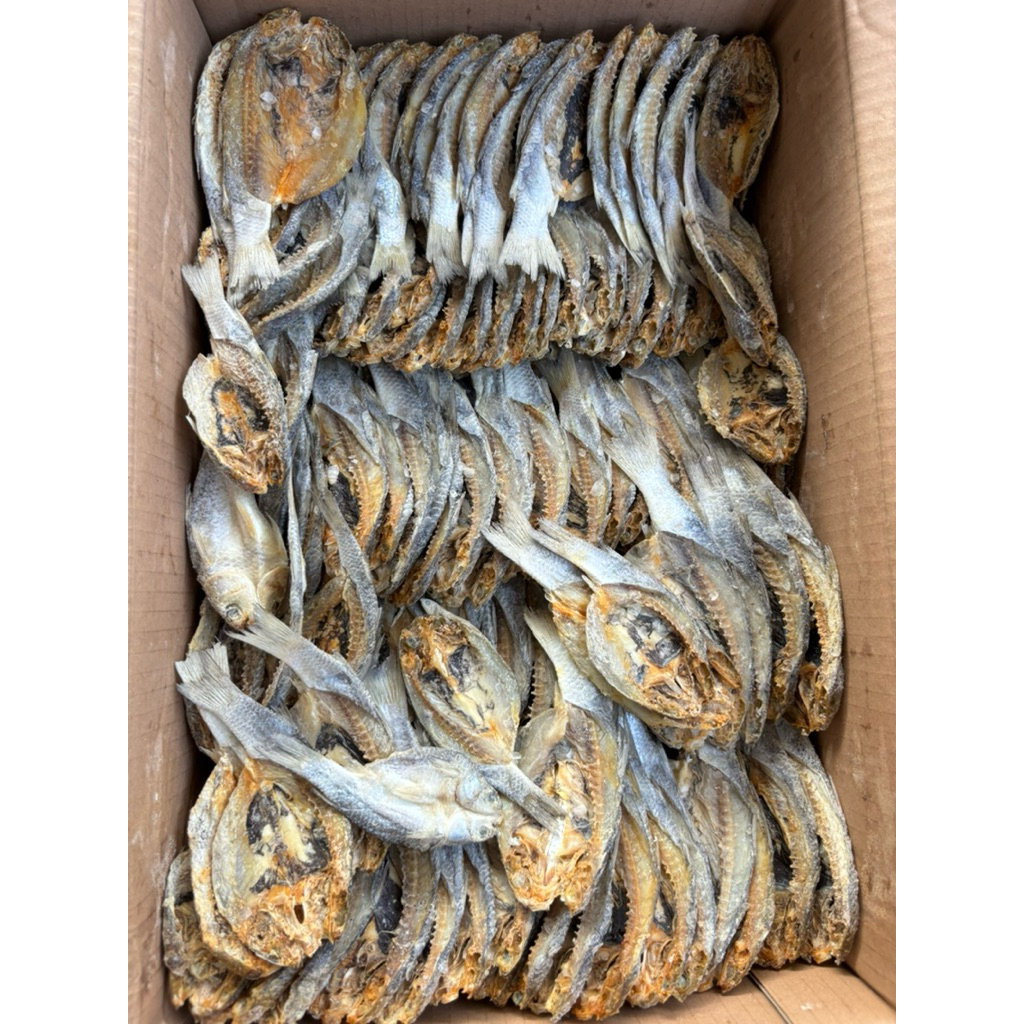 Ikan Asin Belanak Belah Kering