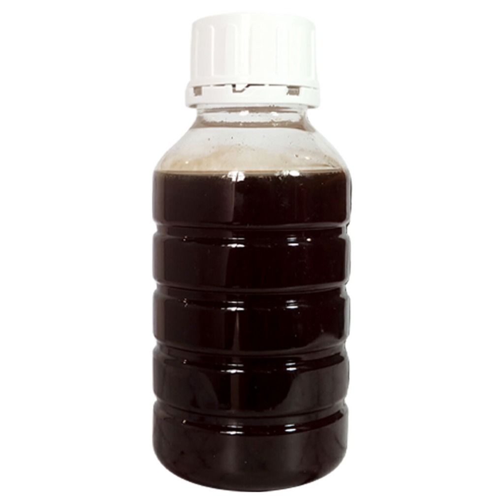 madu hutan premium madu asli murni queen bee pure forest honey 650gr