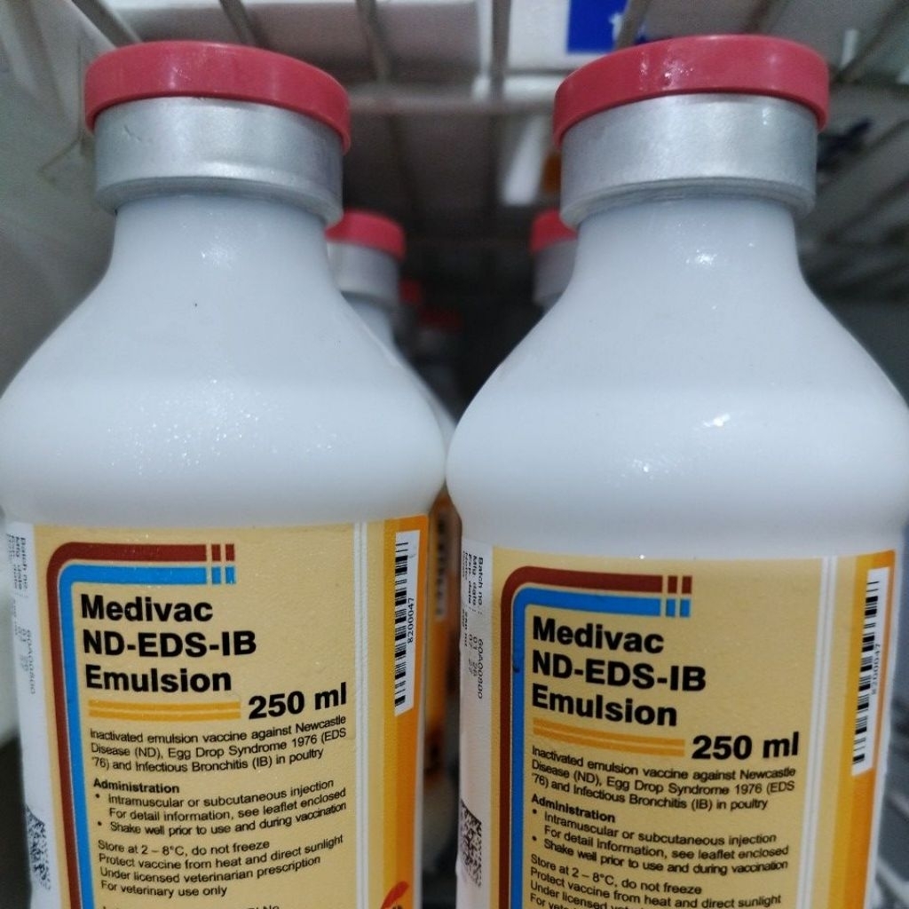 Promo Vaksinasi Ayam Petelur Medivac ND EDS IB EMULSION Kemasan 50 / 25 / 5 ML Berkualitas