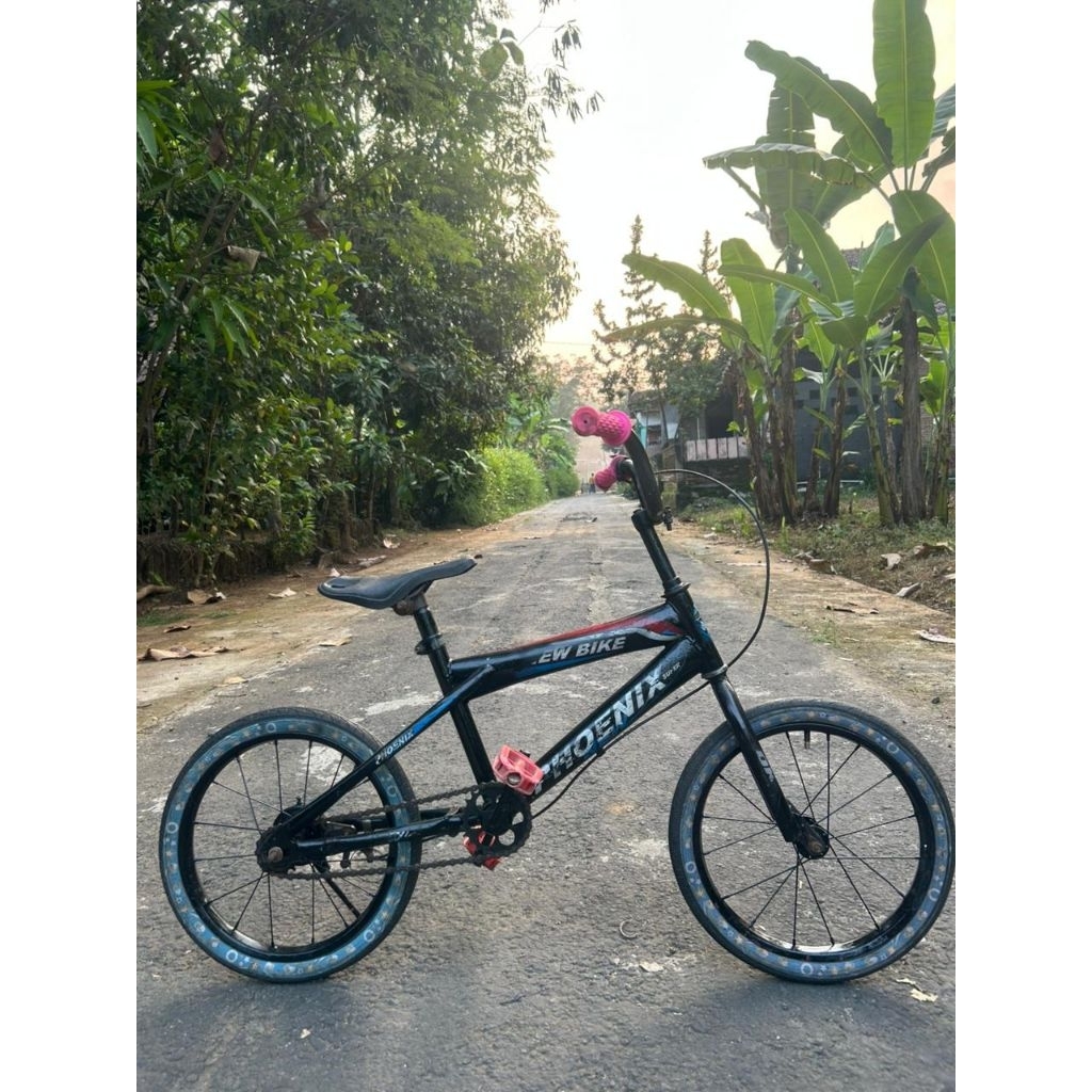 sepeda anak 16 inch phoenix
