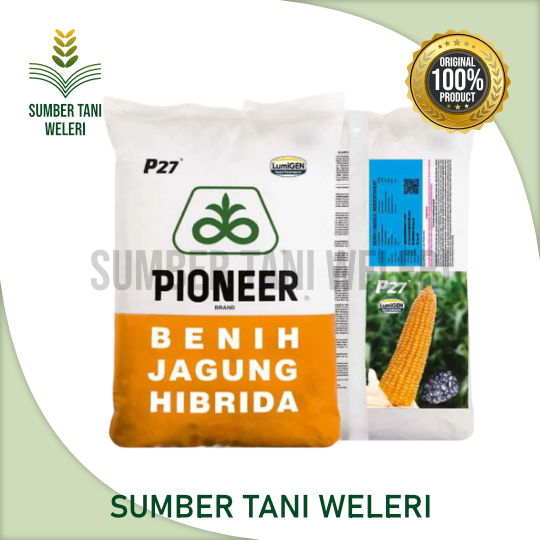 BENIH JAGUNG P27 LUMIGEN - BENIH JAGUNG HIBRIDA - 1 KG - CORTEVA