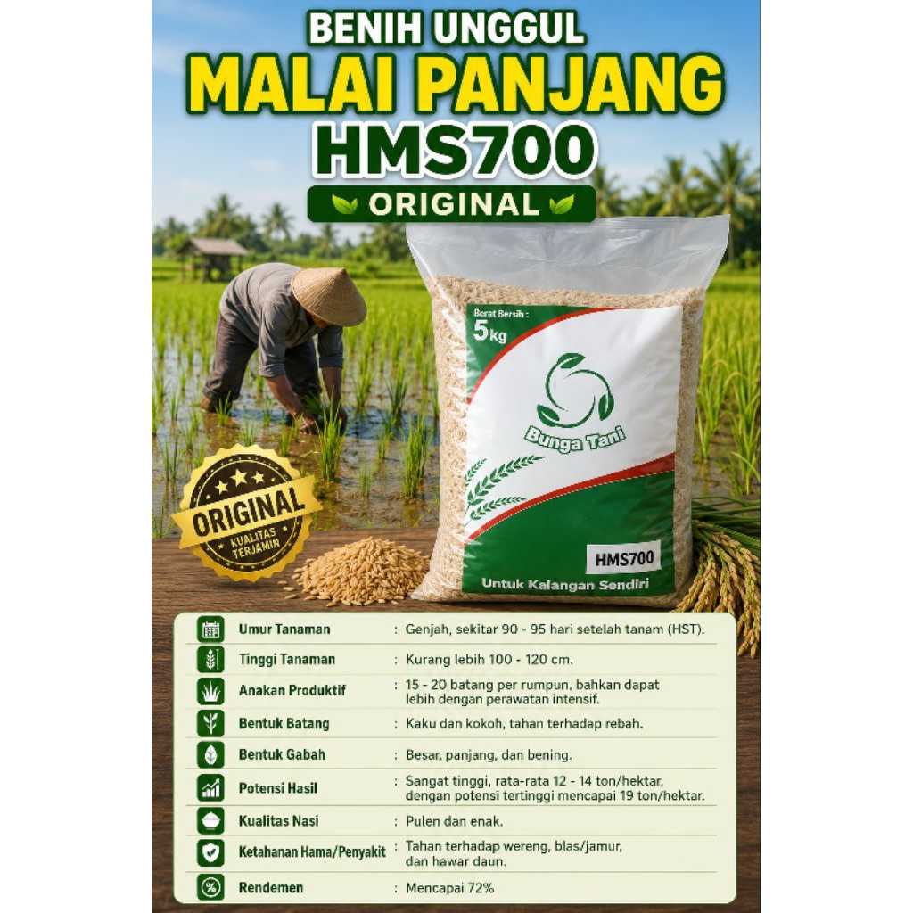 BENIH PADI HMS 700 5KG