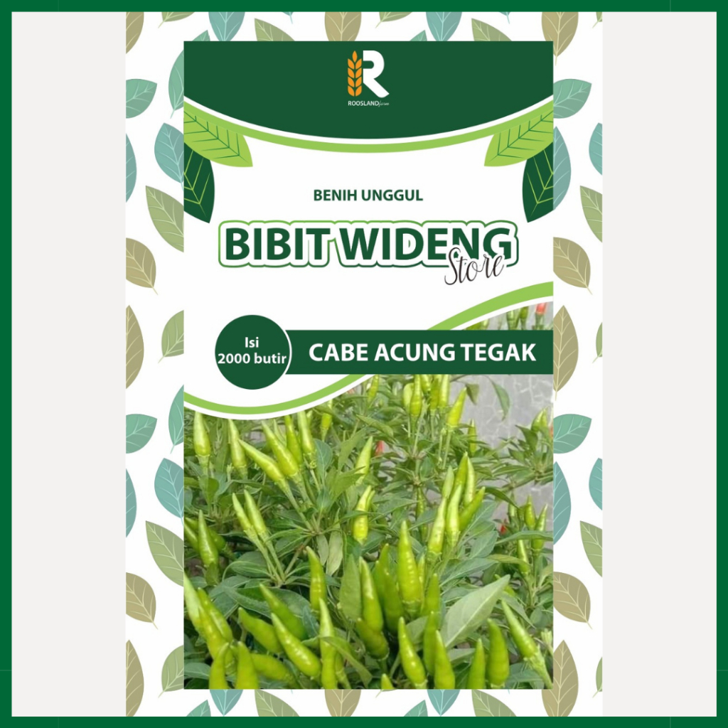 ( 2.000 BENIH ) CABE RAWIT ACUNG CAPLAK | RAWIT TEGAK | RAWIT HIJAU ACUNG TEGAK