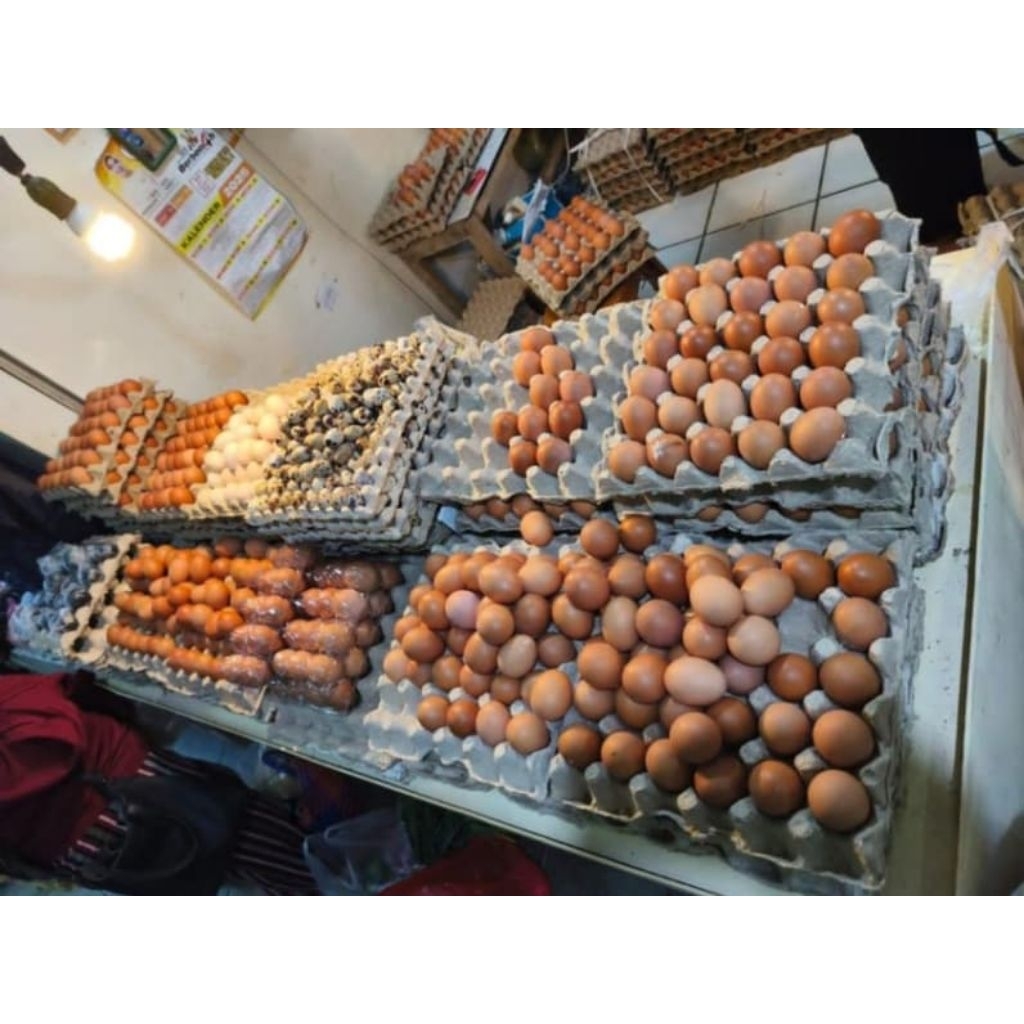 telur ayam negri