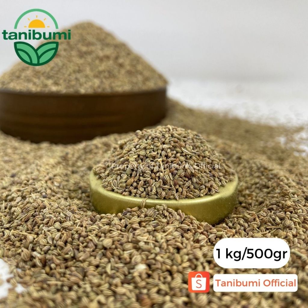 Ajwain Seed | 500g / 1kg | Carom Seed | Mungsi | Ketumbar Mungsi | Jemuju | Lemuju
