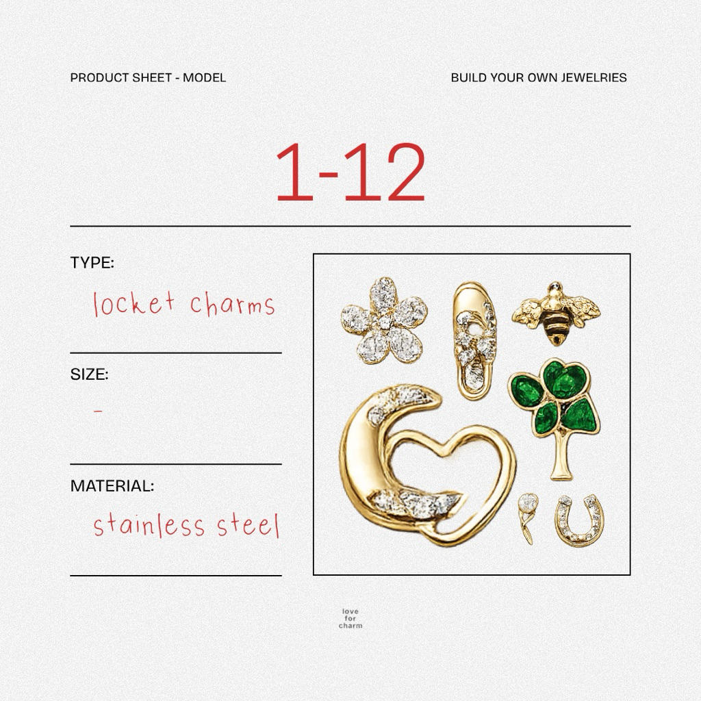 LOCKET CHARMS