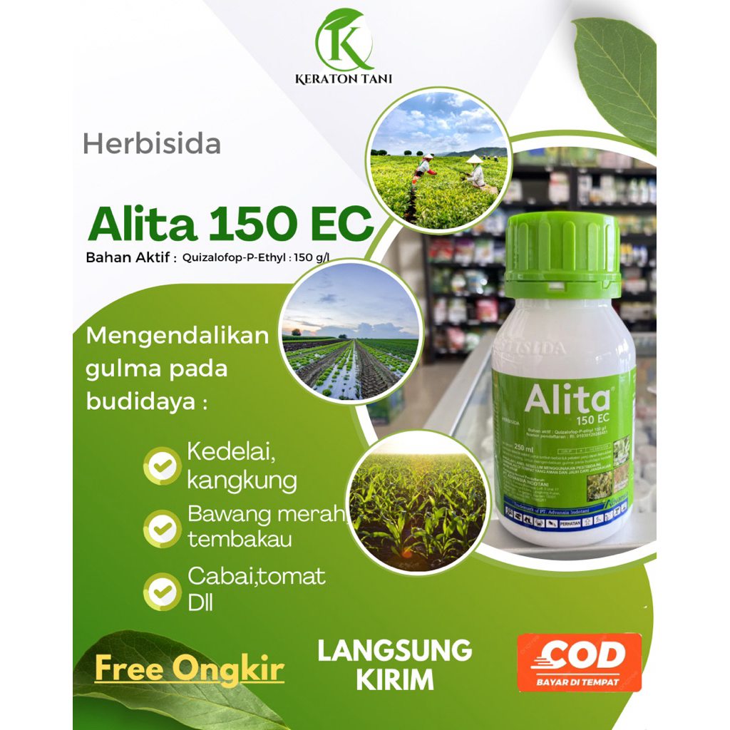 Herbisida Alita 150 EC selektif kacang kedelai,bawang merah,cabai Dll