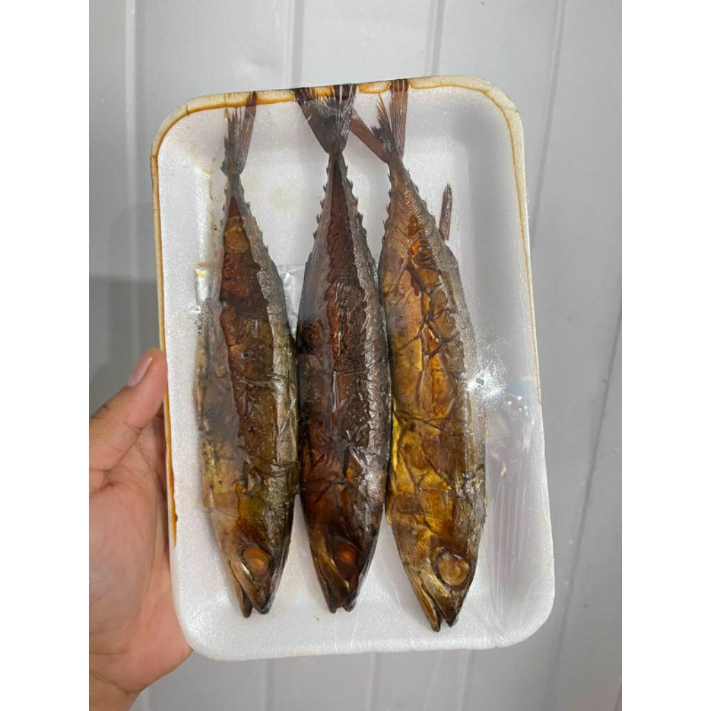 Ikan salem asap