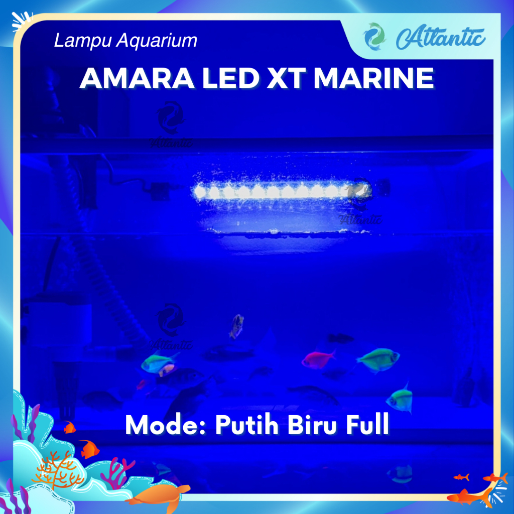 LED DBL LAMPU LED AQUARIUM 3 MODE Lampu Celup Aquarium Lampu Biru